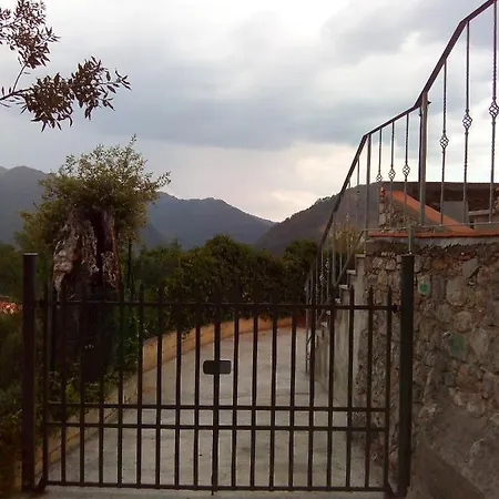 Nel Colle *